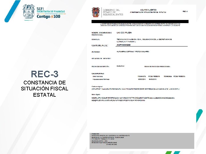 REC-3 CONSTANCIA DE SITUACIÓN FISCAL ESTATAL 