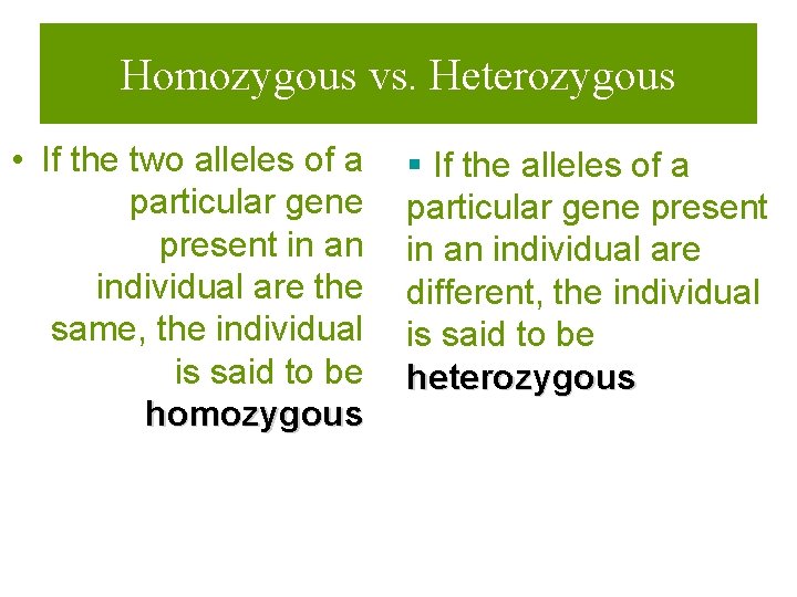 Homozygous vs. Heterozygous • If the two alleles of a particular gene present in