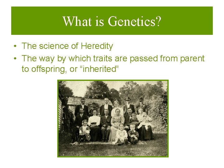 What is Genetics? • The science of Heredity • The way by which traits
