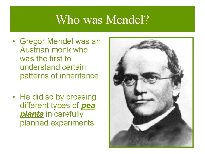Who was Mendel? • Gregor Mendel was an Austrian monk who was the first