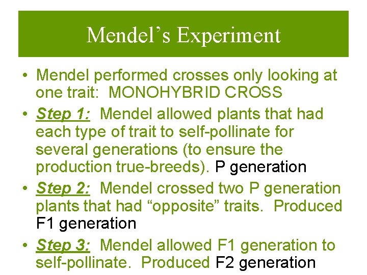 Mendel’s Experiment • Mendel performed crosses only looking at one trait: MONOHYBRID CROSS •