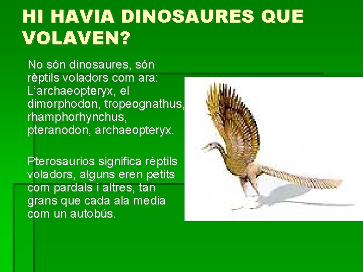 HI HAVIA DINOSAURES QUE VOLAVEN? No són dinosaures, són rèptils voladors com ara: L’archaeopteryx,