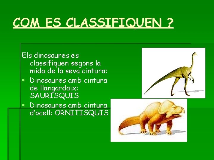 COM ES CLASSIFIQUEN ? Els dinosaures es classifiquen segons la mida de la seva