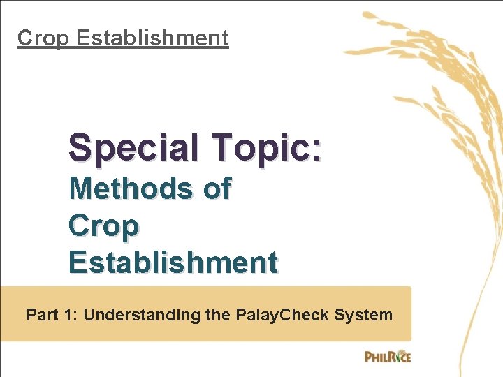 Crop Establishment Special Topic: Methods of Crop Establishment Part 1: Understanding the Palay. Check