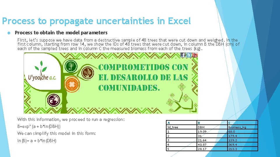 Process to propagate uncertainties in Excel Process to obtain the model parameters First, let’s