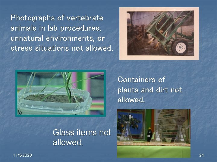 Photographs of vertebrate animals in lab procedures, unnatural environments, or stress situations not allowed