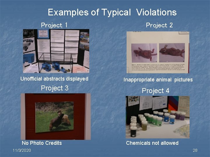Examples of Typical Violations Project 1 Project 2 Unofficial abstracts displayed Inappropriate animal pictures