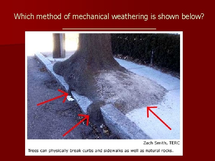 Which method of mechanical weathering is shown below? ____________ 