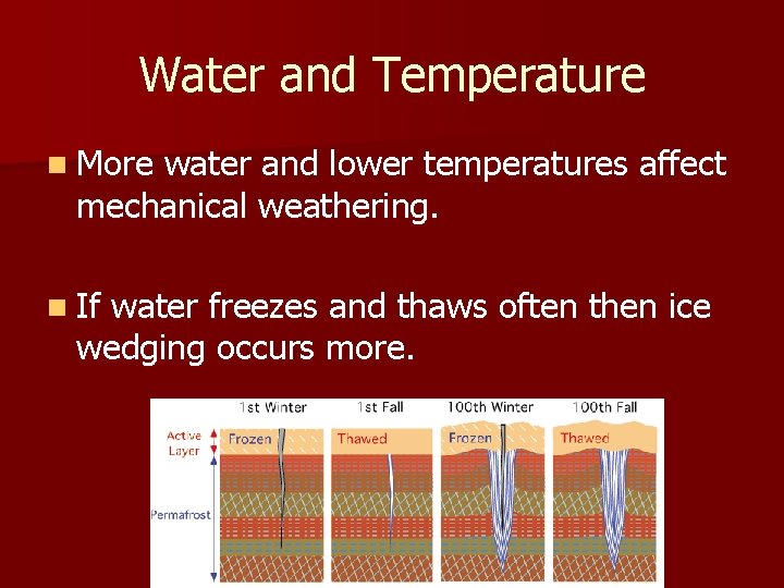 Water and Temperature n More water and lower temperatures affect mechanical weathering. n If