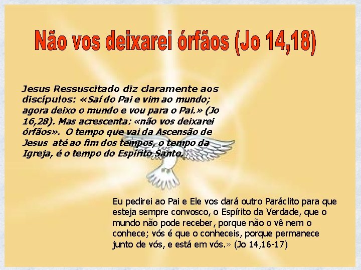 Jesus Ressuscitado diz claramente aos discípulos: «Saí do Pai e vim ao mundo; agora