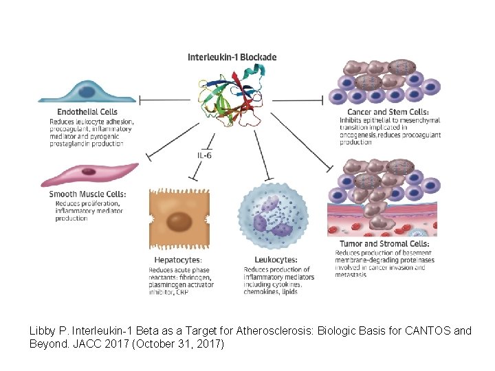 Libby P. Interleukin-1 Beta as a Target for Atherosclerosis: Biologic Basis for CANTOS and Libby P. Interleukin-1 Beta as a Target for Atherosclerosis: Biologic Basis for CANTOS and