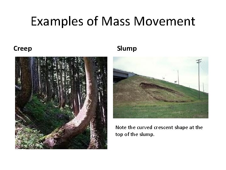 Examples of Mass Movement Creep Slump Note the curved crescent shape at the top