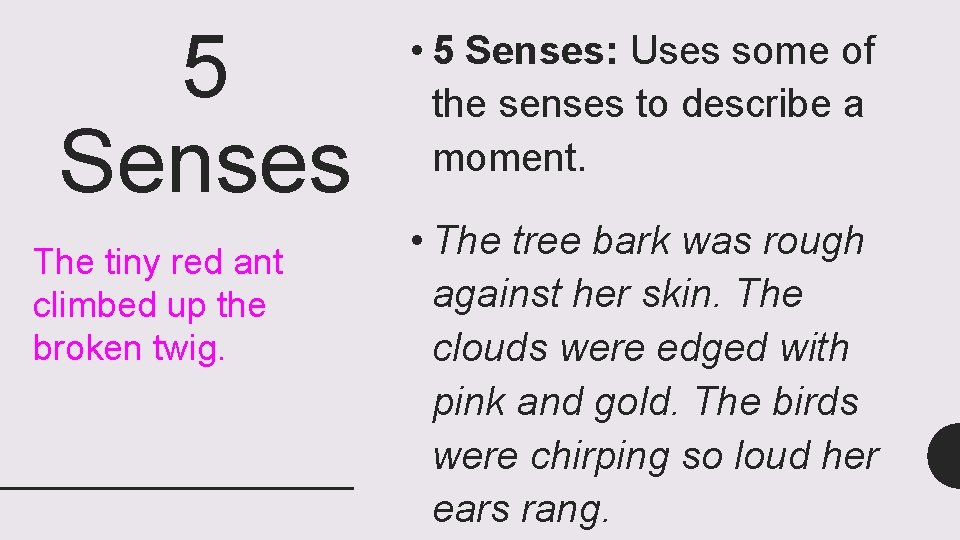 5 Senses The tiny red ant climbed up the broken twig. • 5 Senses: