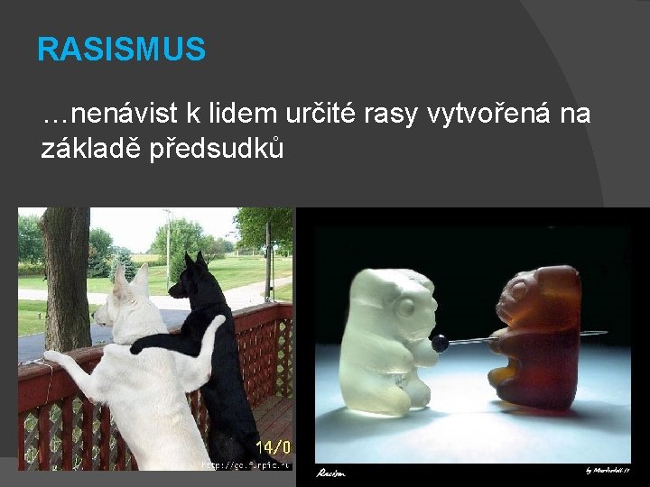 RASISMUS …nenávist k lidem určité rasy vytvořená na základě předsudků 