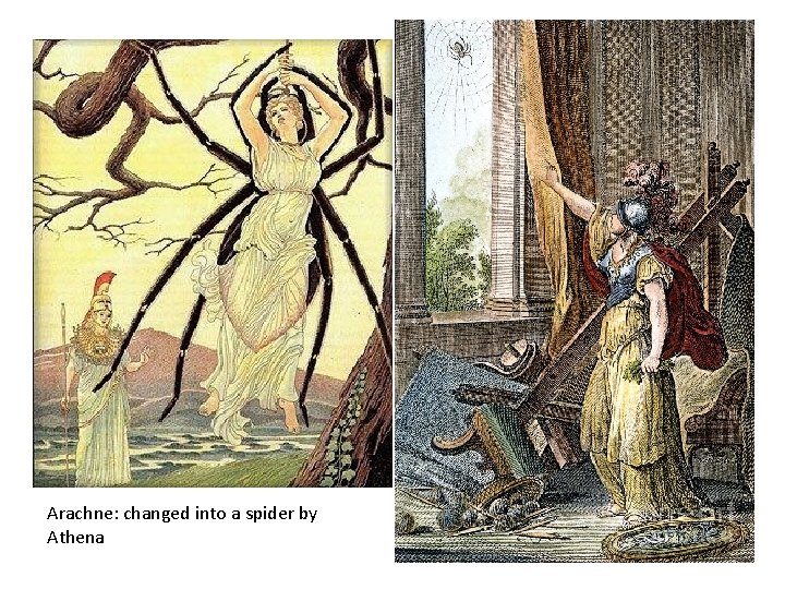 Arachne: changed into a spider by Athena 