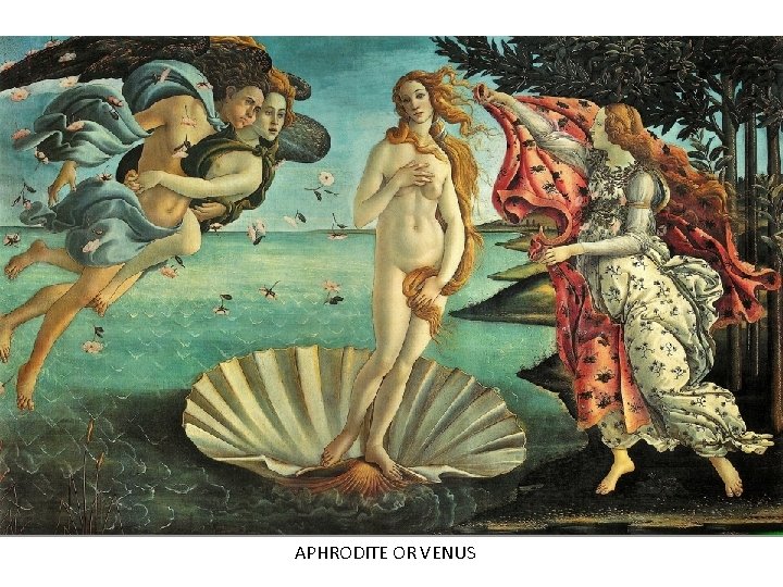 APHRODITE OR VENUS 