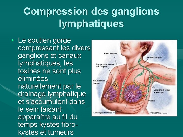 Compression des ganglions lymphatiques • Le soutien gorge compressant les divers ganglions et canaux