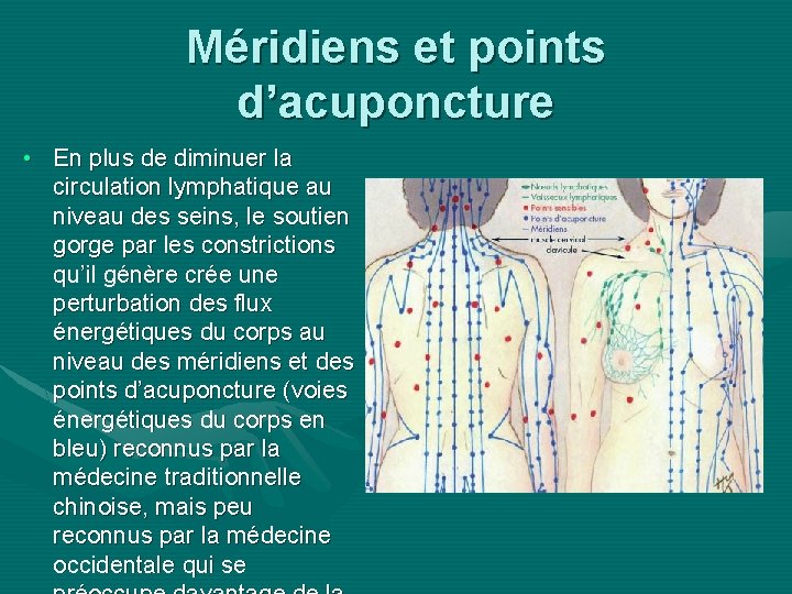 Méridiens et points d’acuponcture • En plus de diminuer la circulation lymphatique au niveau