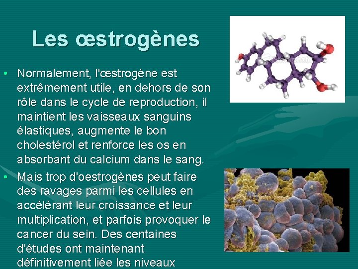 Les œstrogènes • Normalement, l'œstrogène est extrêmement utile, en dehors de son rôle dans