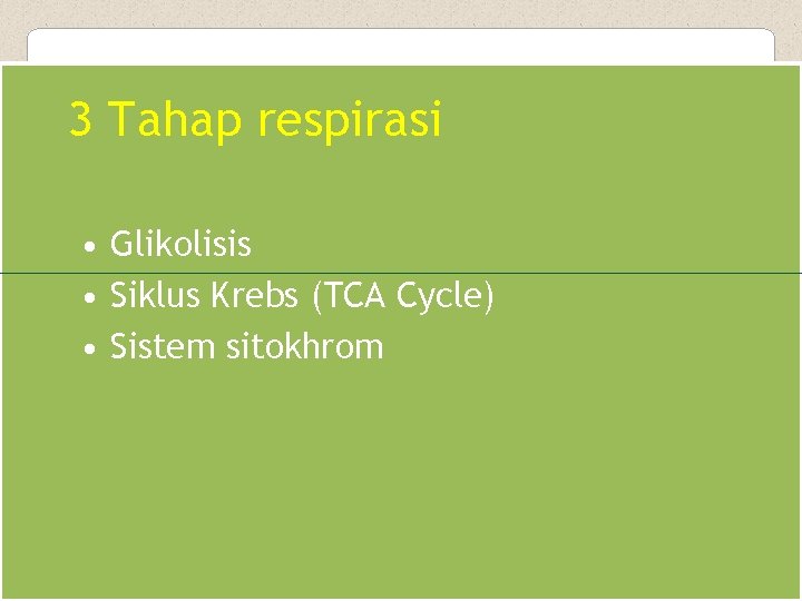 3 Tahap respirasi • Glikolisis • Siklus Krebs (TCA Cycle) • Sistem sitokhrom 