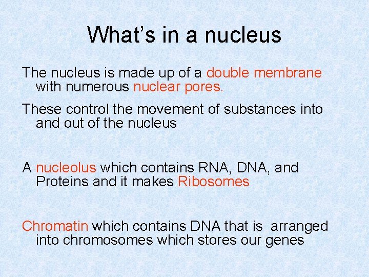 What’s in a nucleus The nucleus is made up of a double membrane with