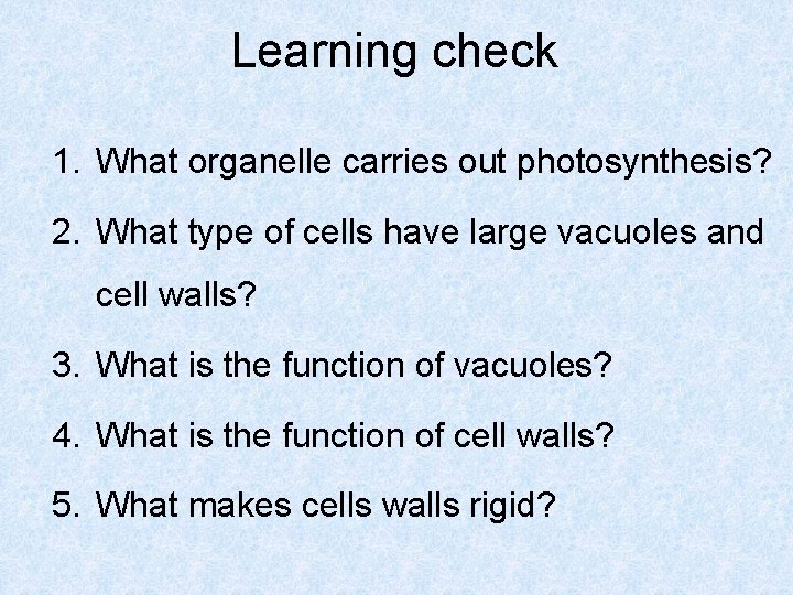 Learning check 1. What organelle carries out photosynthesis? 2. What type of cells have