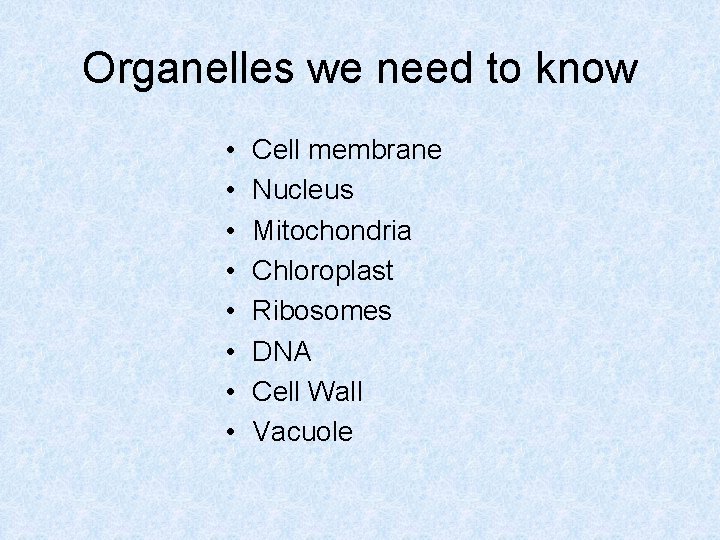Organelles we need to know • • Cell membrane Nucleus Mitochondria Chloroplast Ribosomes DNA