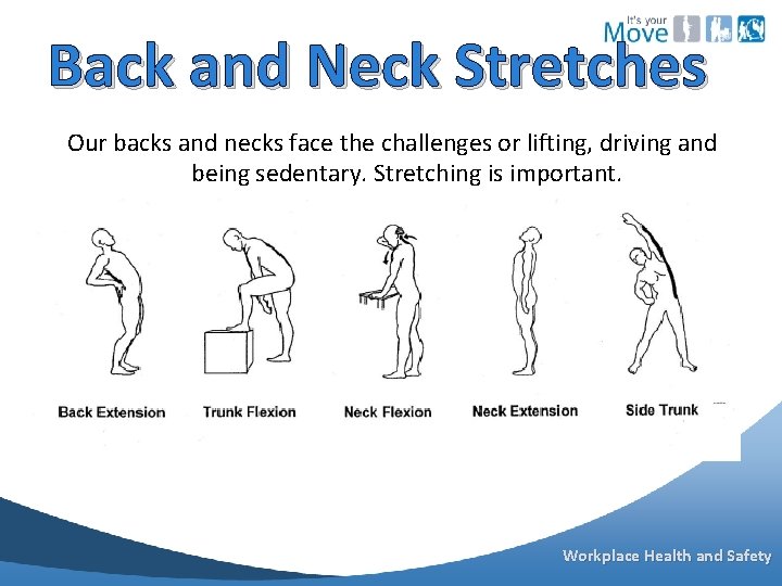Back and Neck Stretches Our backs and necks face the challenges or lifting, driving