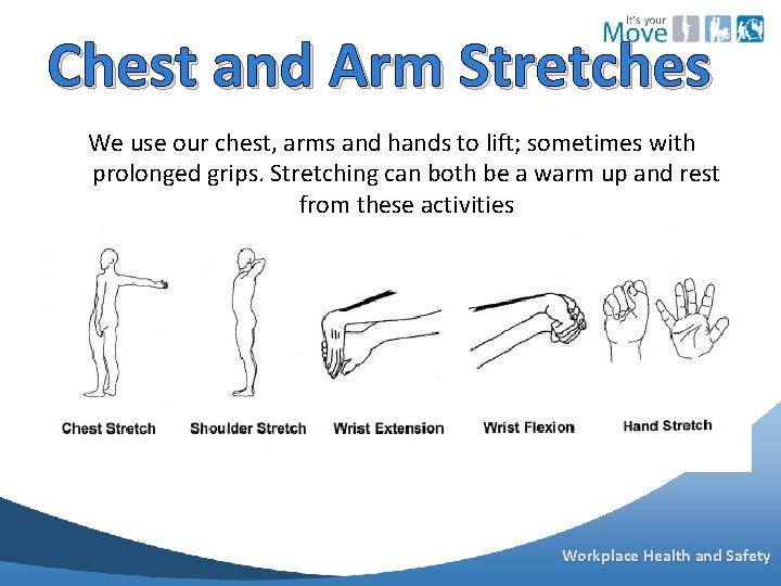 Chest and Arm Stretches We use our chest, arms and hands to lift; sometimes