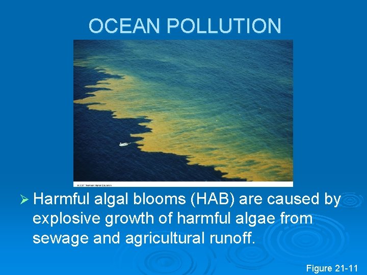 OCEAN POLLUTION Ø Harmful algal blooms (HAB) are caused by explosive growth of harmful