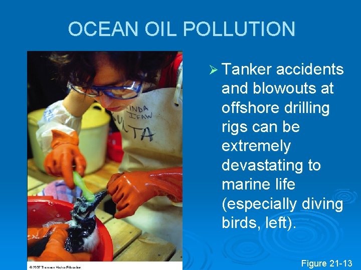 OCEAN OIL POLLUTION Ø Tanker accidents and blowouts at offshore drilling rigs can be