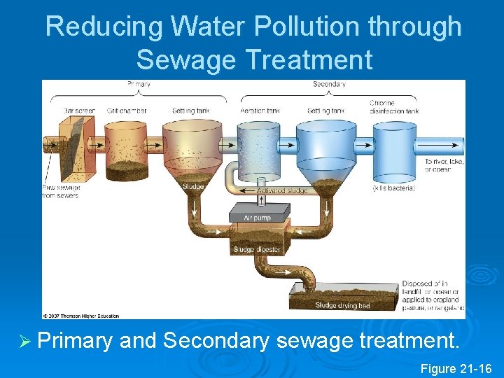 Reducing Water Pollution through Sewage Treatment Ø Primary and Secondary sewage treatment. Figure 21