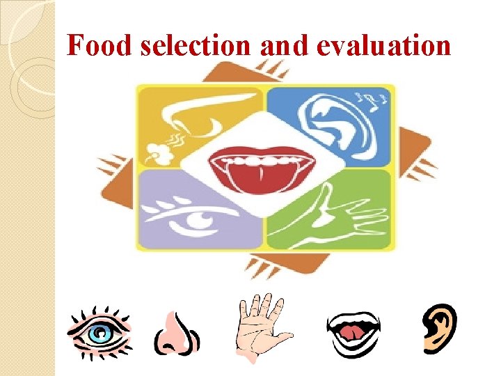 Food selection and evaluation 