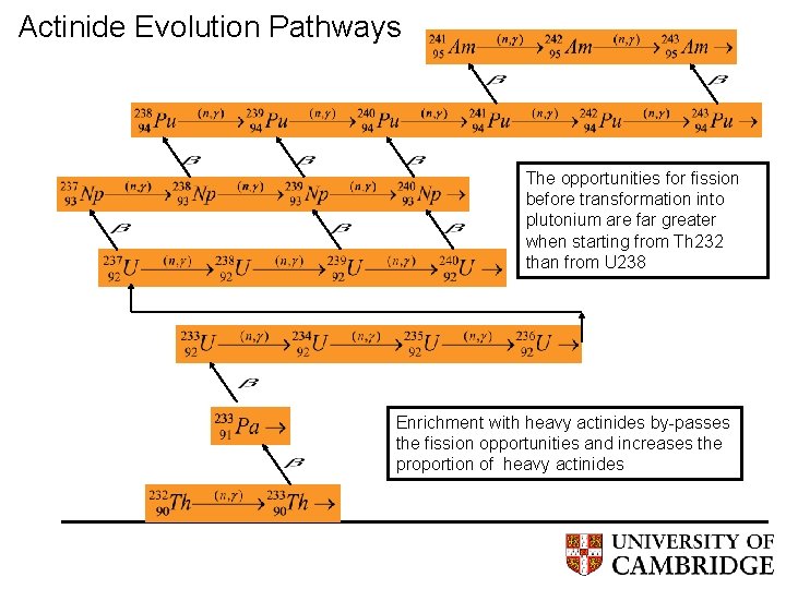 Actinide Evolution Pathways The opportunities for fission before transformation into plutonium are far greater