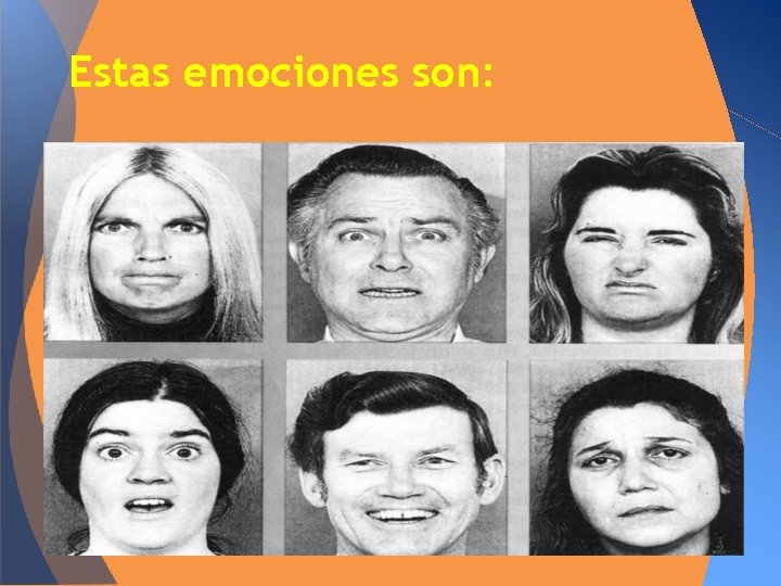 Estas emociones son: 