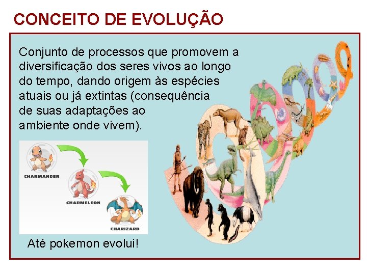 CONCEITO DE EVOLUÇÃO Conjunto de processos que promovem a diversificação dos seres vivos ao