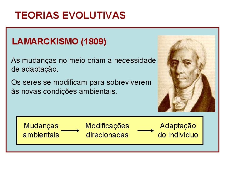 TEORIAS EVOLUTIVAS LAMARCKISMO (1809) As mudanças no meio criam a necessidade de adaptação. Os