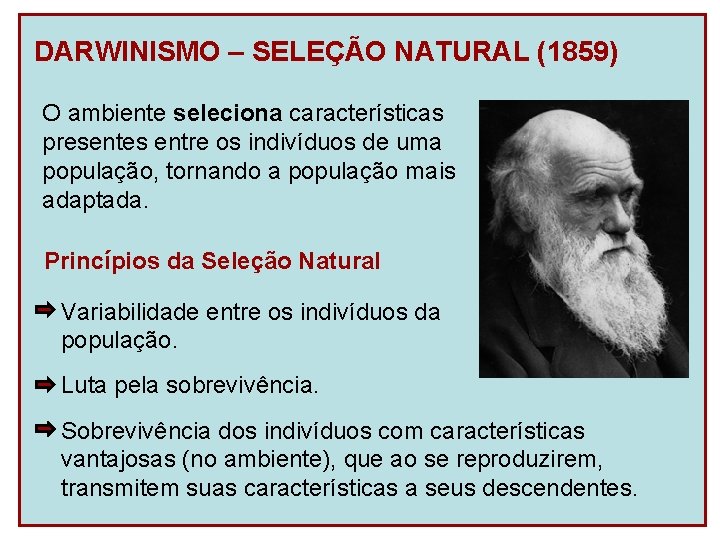 DARWINISMO – SELEÇÃO NATURAL (1859) O ambiente seleciona características presentes entre os indivíduos de