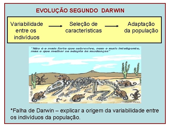 EVOLUÇÃO SEGUNDO DARWIN Variabilidade entre os indivíduos Seleção de características Adaptação da população *Falha