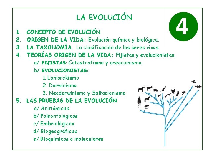 LA EVOLUCIÓN 1. 2. 3. 4. CONCEPTO DE EVOLUCIÓN ORIGEN DE LA VIDA: Evolución