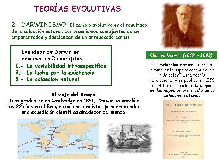 TEORÍAS EVOLUTIVAS 2. - DARWINISMO: El cambio evolutivo es el resultado de la selección