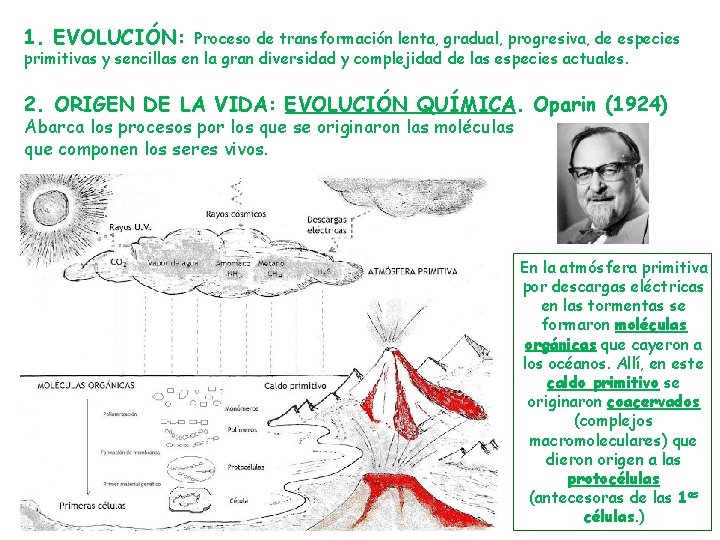 1. EVOLUCIÓN: Proceso de transformación lenta, gradual, progresiva, de especies primitivas y sencillas en