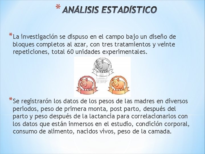 * *La investigación se dispuso en el campo bajo un diseño de bloques completos