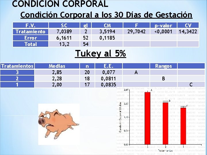 CONDICIÓN CORPORAL Condición Corporal a los 30 Días de Gestación F. V. Tratamiento Error