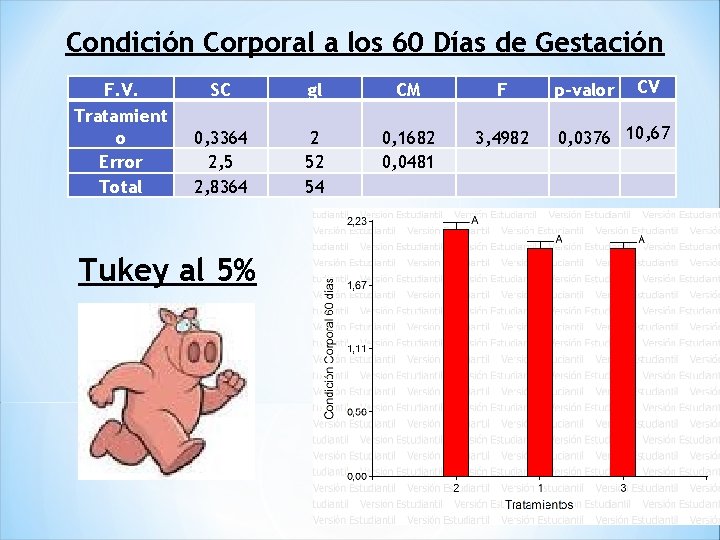 Condición Corporal a los 60 Días de Gestación F. V. Tratamient o Error Total