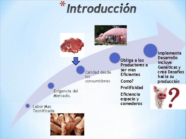 * Calidad desde los consumidores Exigencia del Mercado. Labor Mas Tecnificada Obliga a los