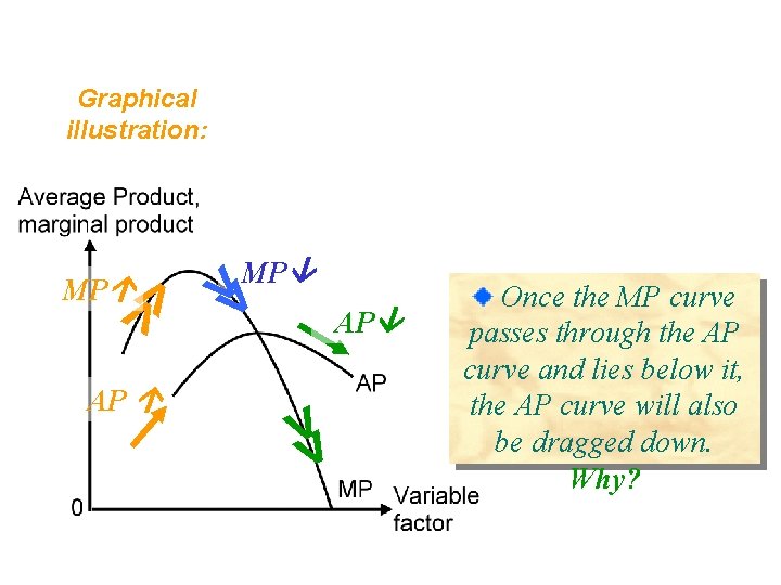 Graphical illustration: >> AP >> MP Once the MP curve passes through the AP