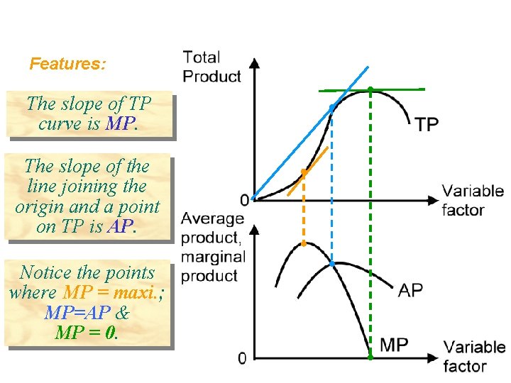 Features: The slope of TP curve is MP. The slope of the line joining