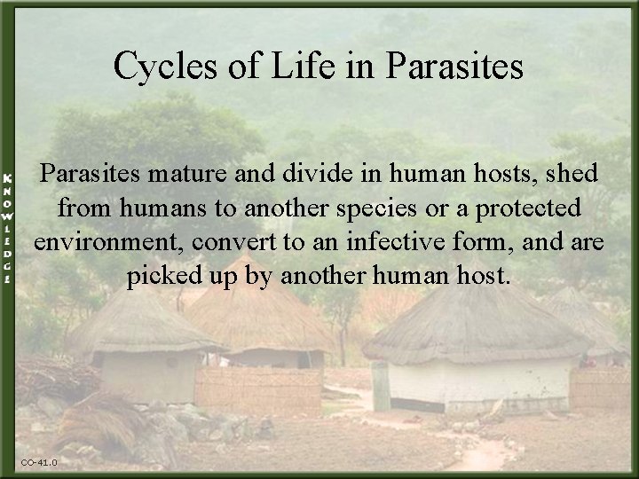 Cycles of Life in Parasites mature and divide in human hosts, shed from humans