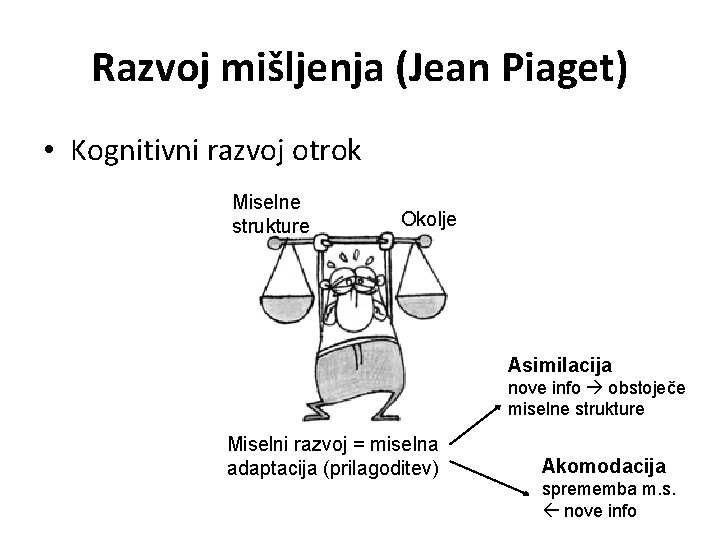 Razvoj mišljenja (Jean Piaget) • Kognitivni razvoj otrok Miselne strukture Okolje Asimilacija nove info